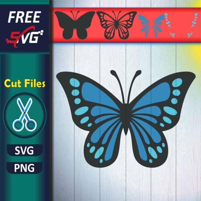 butterfly SVG free for Cricut