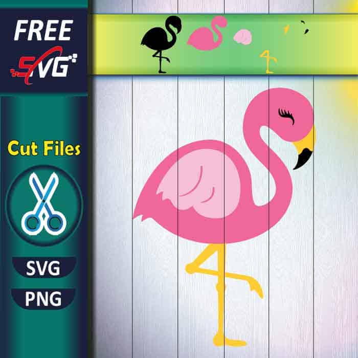 Pink Flamingo SVG free, Beautiful Flamingo SVG