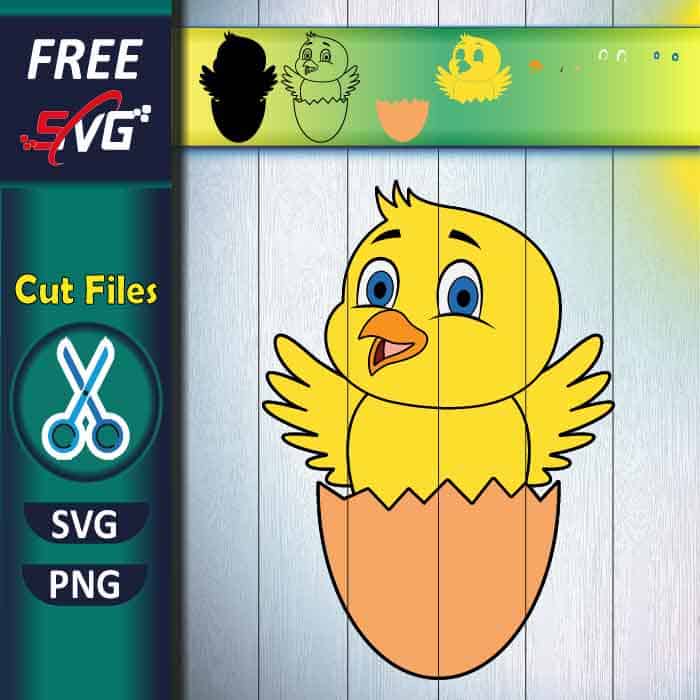 Cute Newborn Bird in Broken Egg SVG free